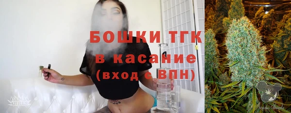 spice Алзамай