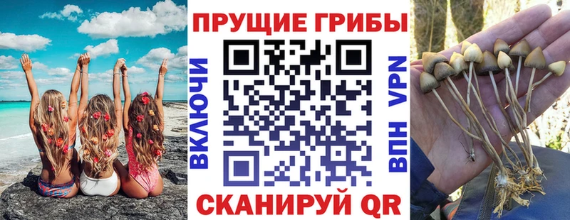 Галлюциногенные грибы MAGIC MUSHROOMS  Тавда 